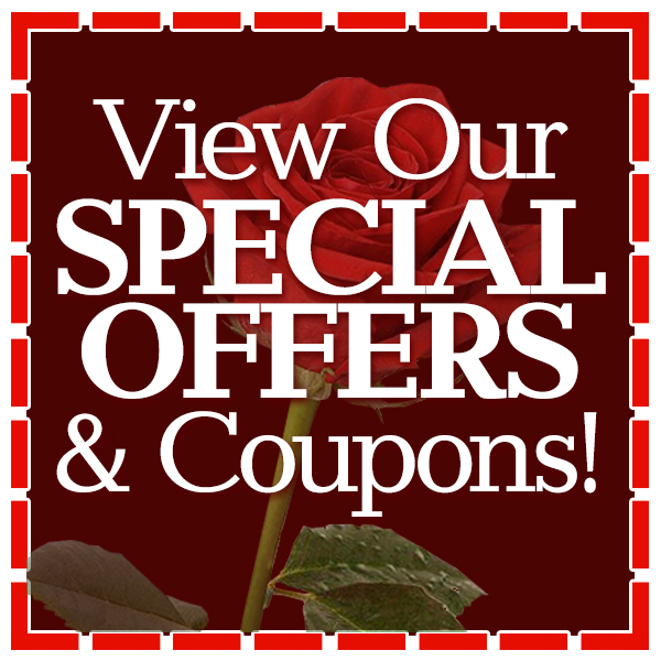 Special Offers